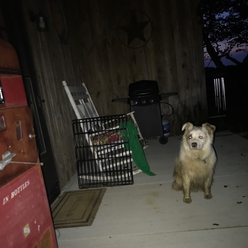 Meet your Posher, Beverly